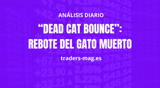 “Dead Cat Bounce”: Rebote del Gato Muerto